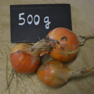 OgnionsJ 500g scaled