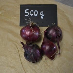 OgnionsR 500g scaled