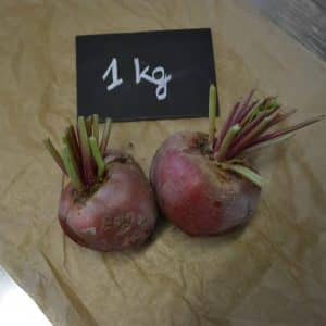 BetteraveChiogga500g scaled