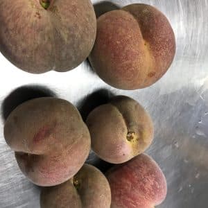 Pechedevigne rotated