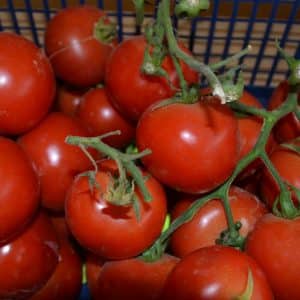 TomatesClassiques500g scaled