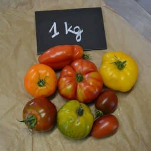 tomatescollections1kg scaled